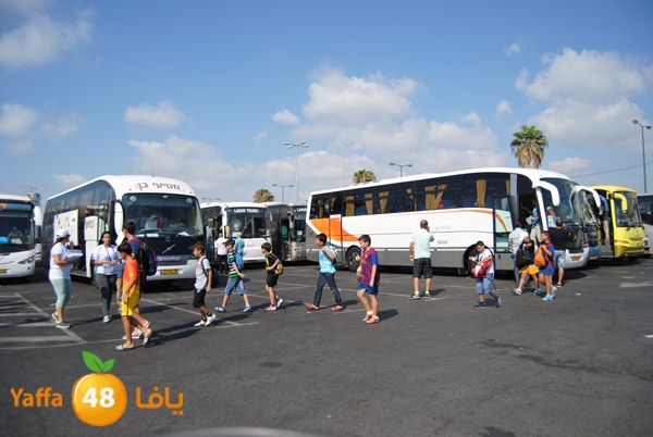 blomfeiled 803 (12).JPG